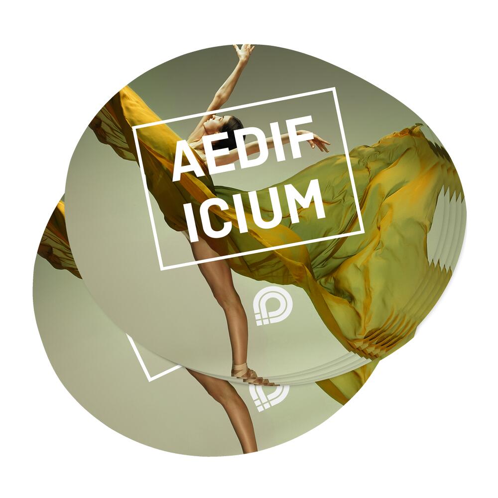 250 Runde Aufkleber drucken | 95mm Durchmesser | 90 g/m² PVC weiß glänzend