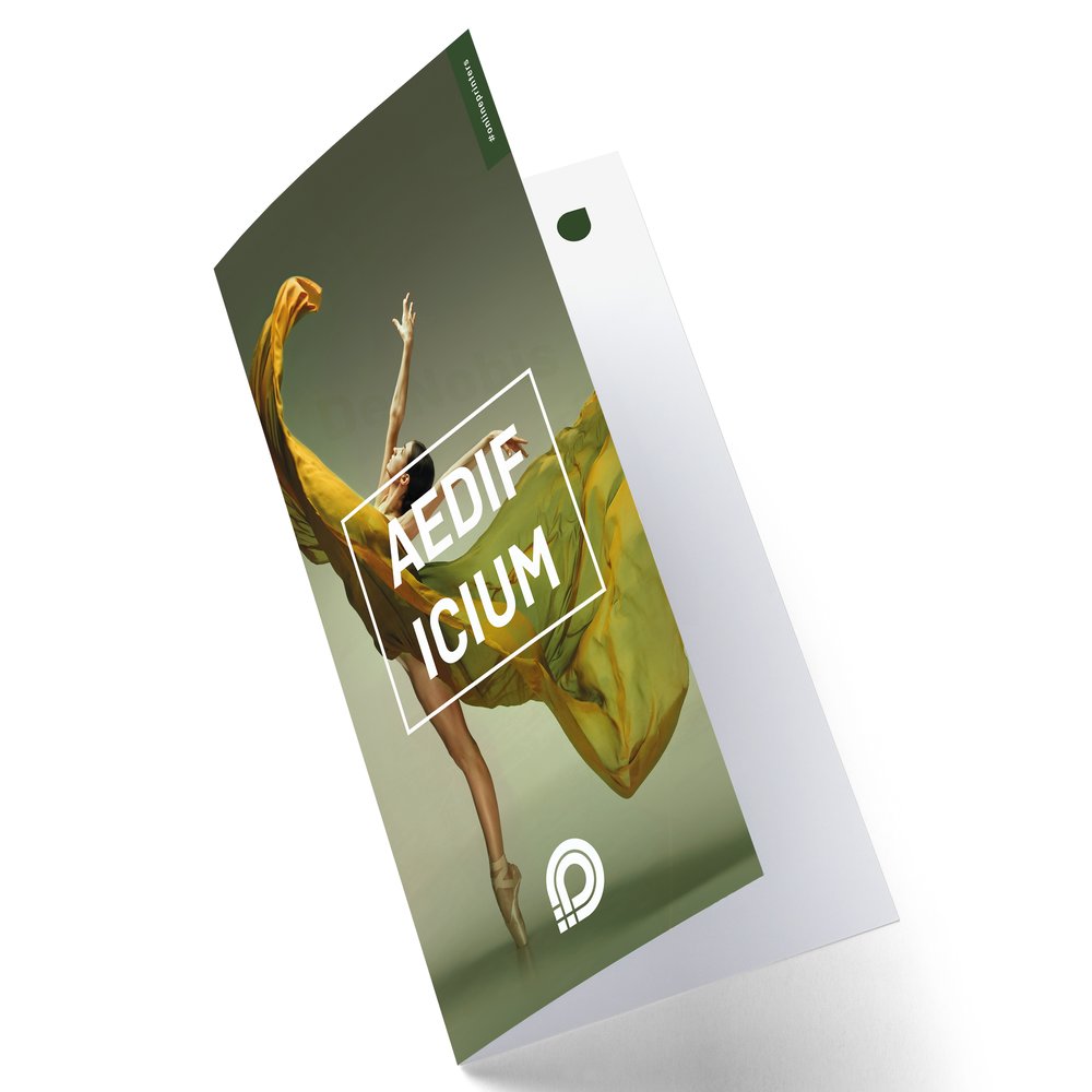 250 Klappkarten DIN lang drucken | Hochformat | 4-seitig | Ideal für Einladungskarten, Geburtstagskarten, Hochzeitseinladungen und Grußkarten