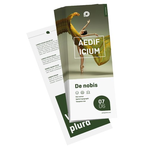 Flyer, 1/3 A3, beidseitig bedruckt 1