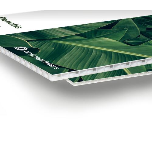 Wei�e Hohlkammerplatte, leicht und stabil.