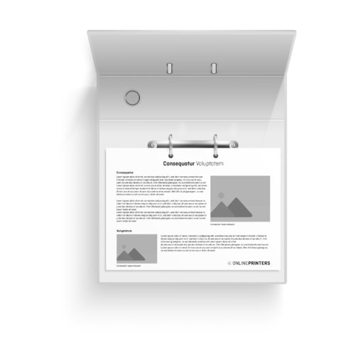 Loseblattsammlungen, DIN A4, 29,7 x 21 cm, Querformat, beidseitig einfarbig bedruckt (1/1) 3