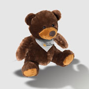 Plschteddybr Papa