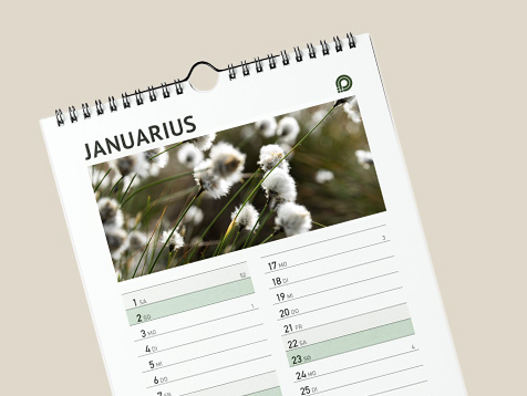 Wandkalender mit Spiralbindung 
