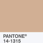 Hazelnut - Color Report 2017 | © Pantone Color Institute