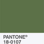 Kale - Color Report 2017 | © Pantone Color Institute