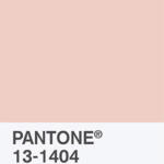 Pale Dogwood - Color Report 2017 | © Pantone Color Institute