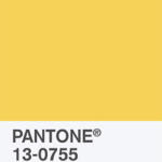 Primrose Yellow - Color Report 2017 | © Pantone Institute