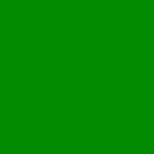 Ein durchgehendes grünes Quadrat füllt das gesamte Bild und ruft eine frische und lebendige Atmosphäre hervor, die Restaurantmarketingexperten häufig verwenden, um Nachhaltigkeit und Frische zu symbolisieren.