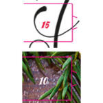 Tipps zu Adventskalender gestalten