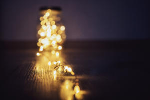 Makro Bokeh