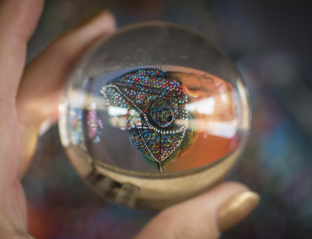 Makrofoto Lensball