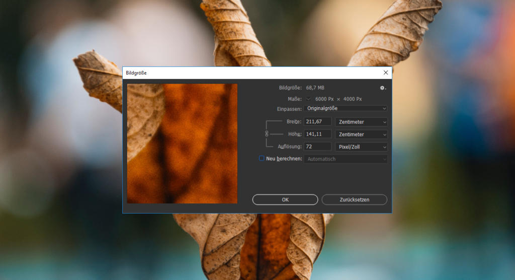 Photoshop Bild verkleinern Auflösung manipulieren