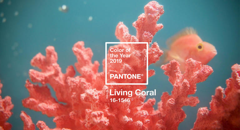 Die Pantone-Farbe des Jahres 2019: Living Coral
