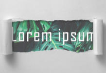 Beitragsbild_lorem-ipsum