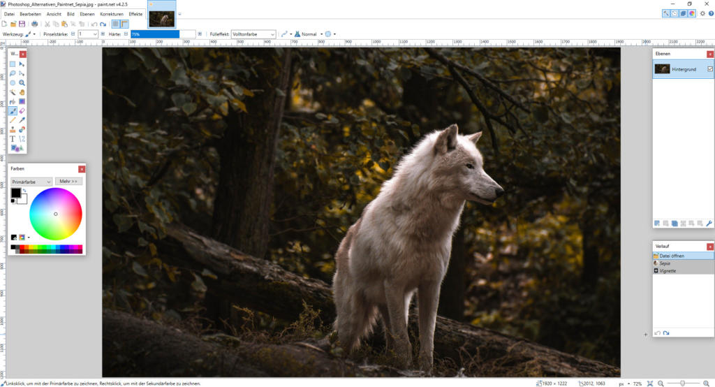 Photoshop_Alternativen_Paintnet_Screenshot_2