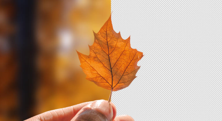 In Photoshop den Hintergrund transparent machen – Basics Tutorial