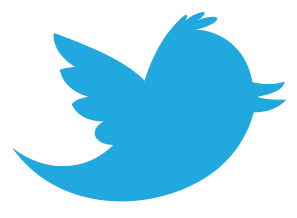Wiedererkennungswert: Twitter Logo