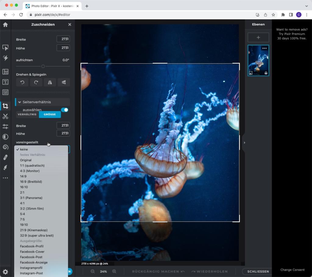 Bilder online zuschneiden mit kostenlosen Tools