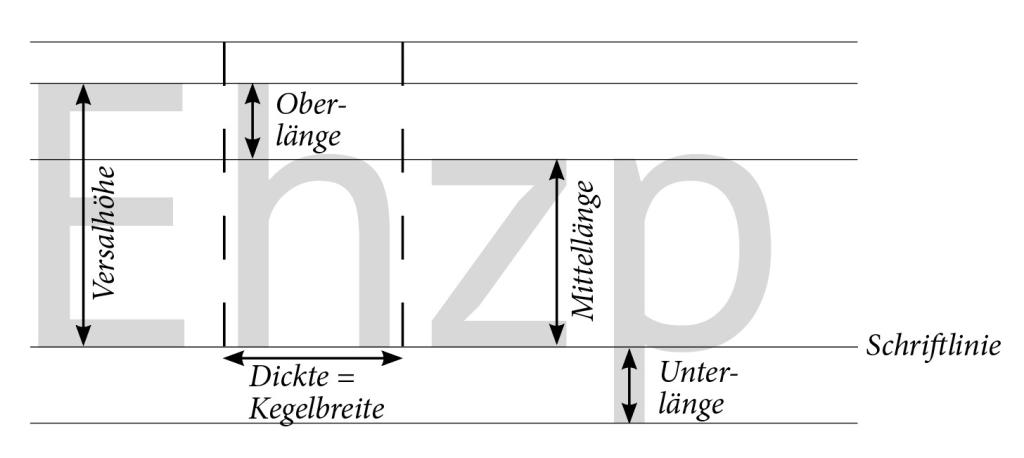 Die Schriftgröße_Anatomie
