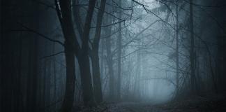 Beitragsbild_Grusel-Schrift
