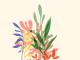 Trendfarben_Pantone_2024