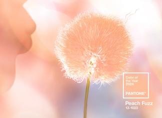 Beitragsbild_Pantone-Farbe-des-Jahres