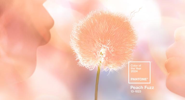 Die Pantone-Farbe des Jahres 2024: Peach Fuzz